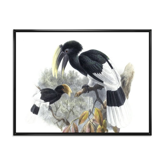 Designart 'Ancient Bird Illustration I' Traditional Framed Canvas Wall Art Print