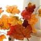 thumbnail image 4 of Tela De Ratán 1 guirnalda de hojas de arce de ratán, hojas artificiales de otoño, decoración de Halloween para pared y techo, color naranja, 200 cm Yulucky, 4 of 7