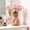 B B, variant on Naittoop Boho Bow Vase, Flower Vase for Home Decor,Resin Modern Vase for Ifor Table Centerpieces Living Room Office Wedding Farmhouse Decor, Mother‘s Day Gifts,7 in,Pink