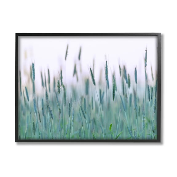 Green Wheat Field Sprigs Landscape Photograph Black Framed Art Print Wall Art