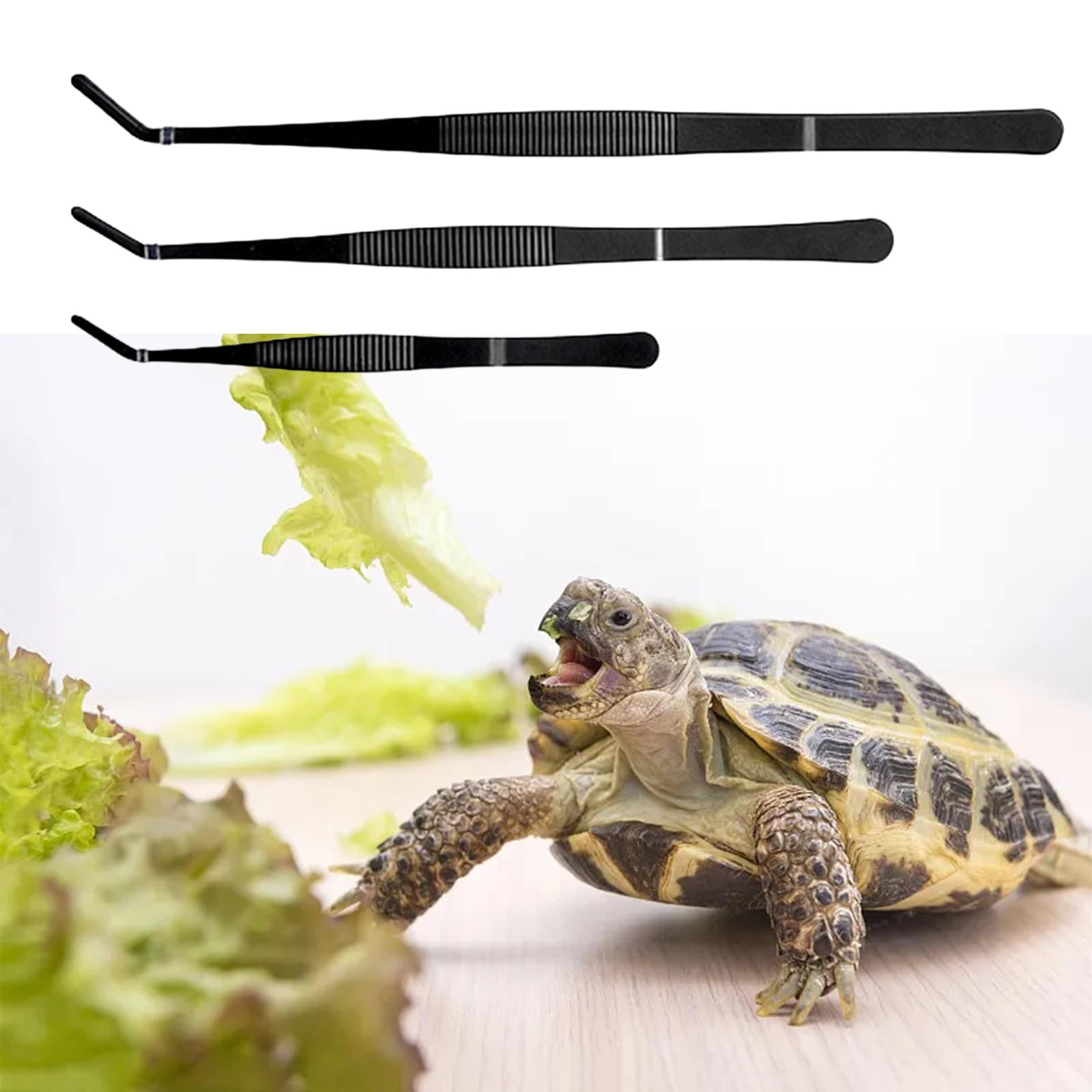 Feeding Tongs Clamp Easy to Use Long Handle for Bird Aquarium Small