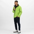 thumbnail image 2 of Regatta Mens Standout Ardmore Jacket (Waterproof & Windproof), 2 of 5