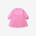 thumbnail image 3 of Odeerbi Niñas Conejito Vestido Sudadera Algodón Tul Princesa Primavera Otoño Malla Manga Larga Vestido, 3 of 7