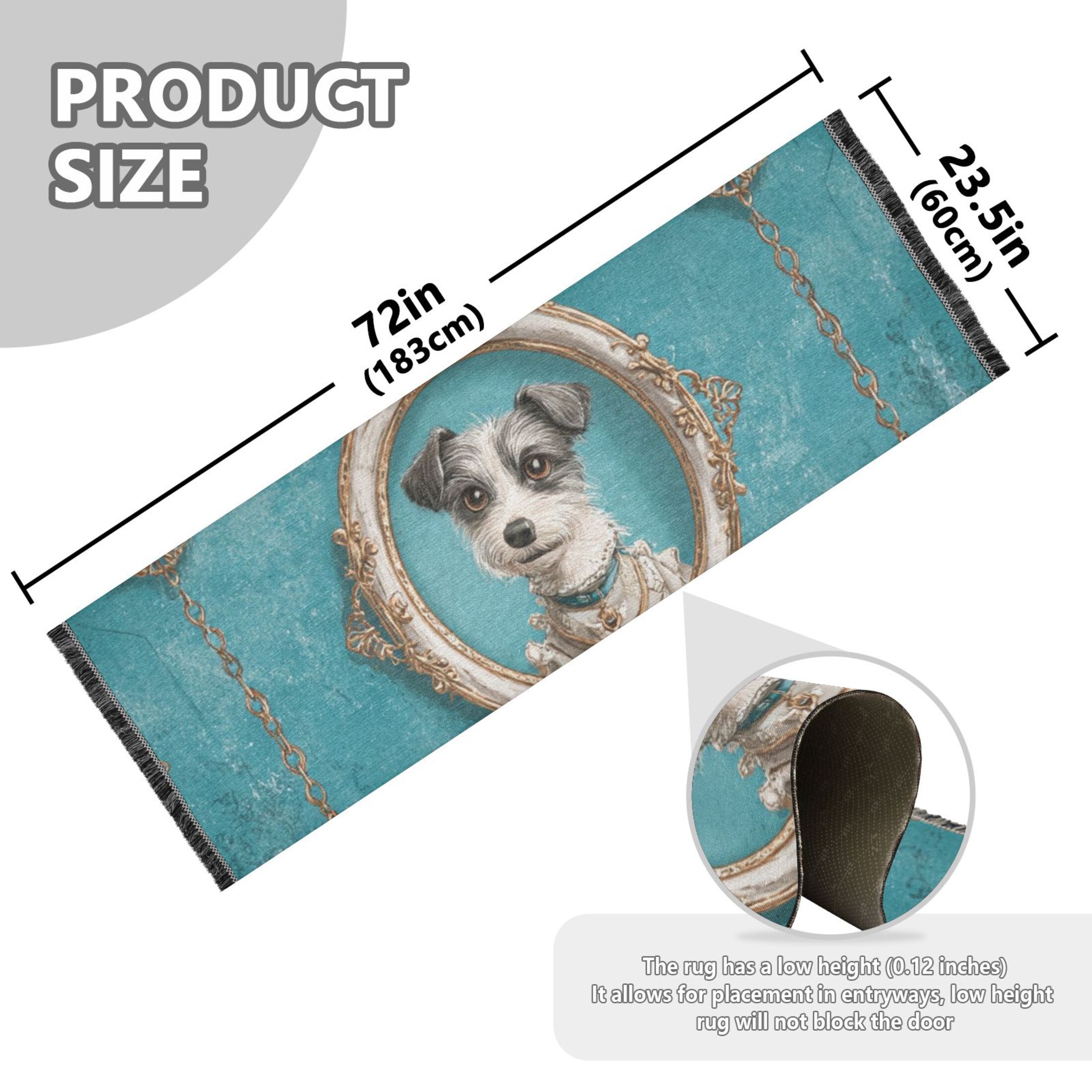 Bedroom Hallway Indoor Outdoor Mat With Rubber Backing Runner Rug Long Portrait Frames and Gold Chains