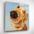 thumbnail image 5 of Epic Art 'Follow Your Nose 4' by Lucia Heffernan, Acrylic Glass Wall Art, 12"x12", 5 of 13