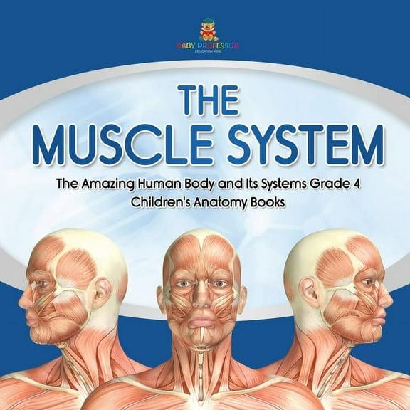 The Muscle System The Amazing Human Body and Its Systems Grade 4 Children's Anatomy Books, (Paperback)