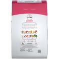 thumbnail image 4 of NUTRO ULTRA Adult Small Breed High Protein Natural Dry Dog Food with a Trio of Proteins from Chicken, Lamb and Salmon, 15 lb. Bag, 4 of 9