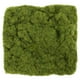 thumbnail image 3 of bolsa de musgo artificial para micropaisaje, decoración de musgo artificial, musgo decorativo para jardineras, césped artificial, musgo falso, decoración de utilería., 3 of 7