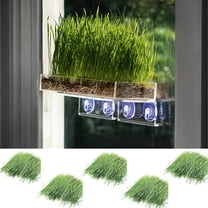 Window Garden Double Veg Ledge Shelf Organic Wheatgrass Kit Bundle (5)