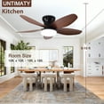 Alpha Colorful Ceiling Fan 42