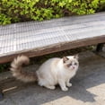 thumbnail image 5 of Raccoon, Squirrel Outdoor, Black Outdoor Furniture, Furniture Protection from Cats, Pet Pads for Dogs, Outdoor Spiked Mats, 28X18 In, 1 Pc, 5 of 5