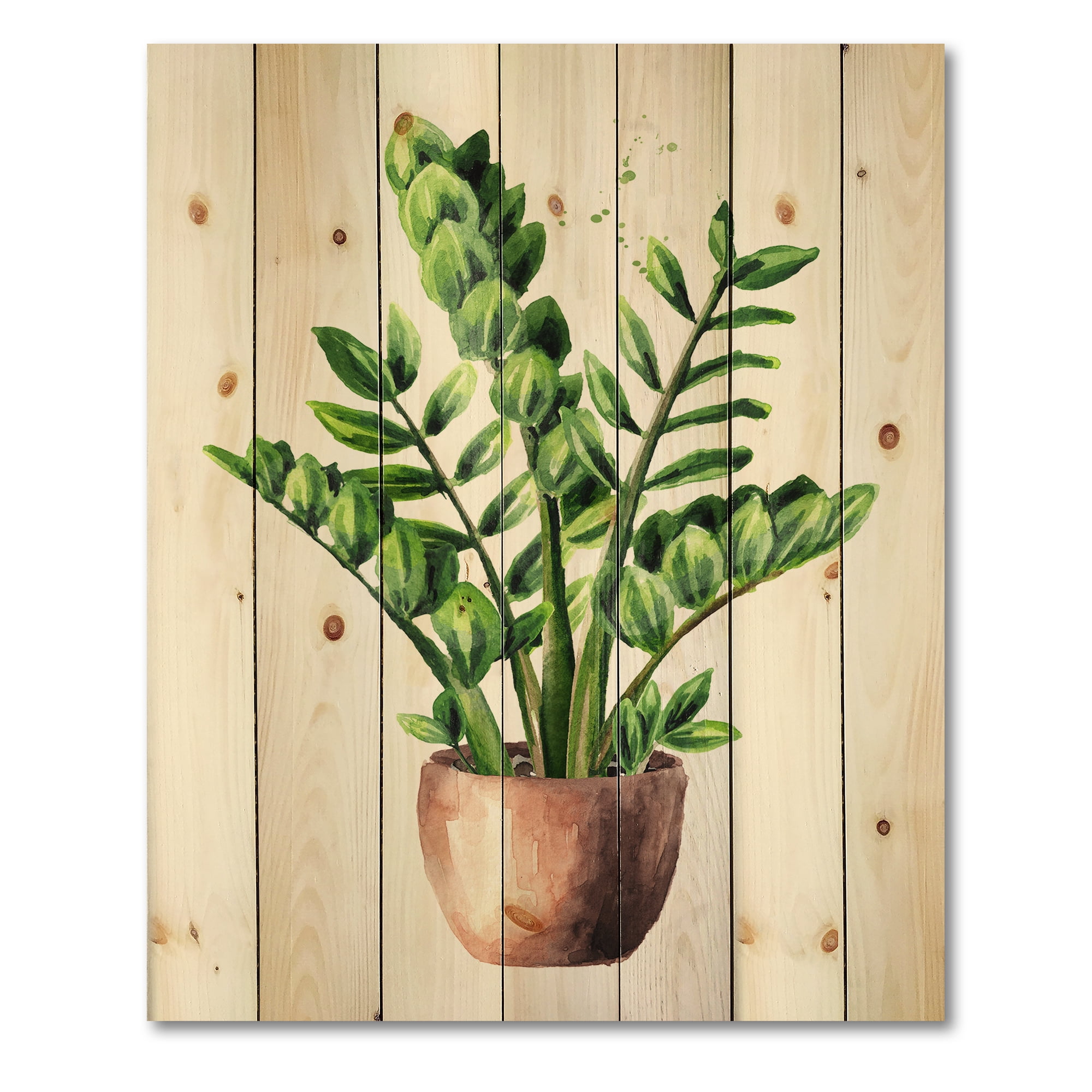Designart 'Zamioculcas Tropical Plant With Green Leaves On White' Traditional Print on Natural Pine Wood