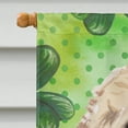 thumbnail image 3 of Carolines Treasures BB9550CHF Champagne Cockapoo St. Patricks Canvas House Flag, 3 of 4