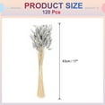 thumbnail image 2 of Uxcell 120pcs Colas de Conejo Naturales Flores Secas 17" Mini Hierba Pampas Lagurus Ovatus Ramo para Decoración Floral de Boda, Azul Grisáceo, 2 of 6