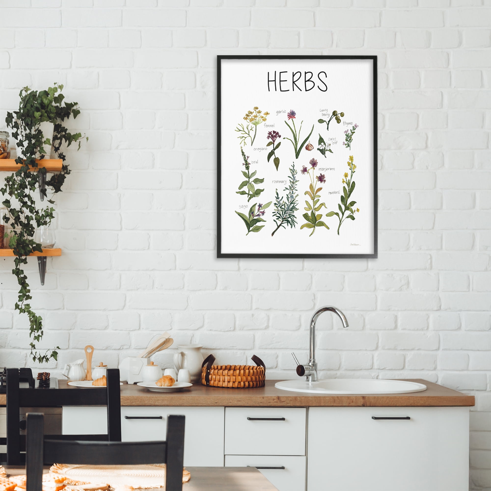 Stupell Industries Herbs Identification Chart Black Framed Giclee Art, design by Carol Robinson