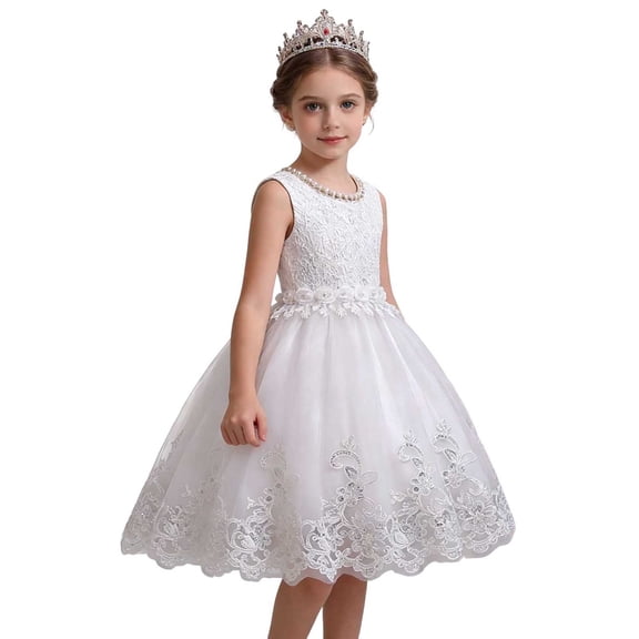 CHEEREAM Kids Elegant Dress Lace Embroidered Tulle Puffy Layered Sleeveless Princess Birthday Party Dresses for Girls Flower Decorated