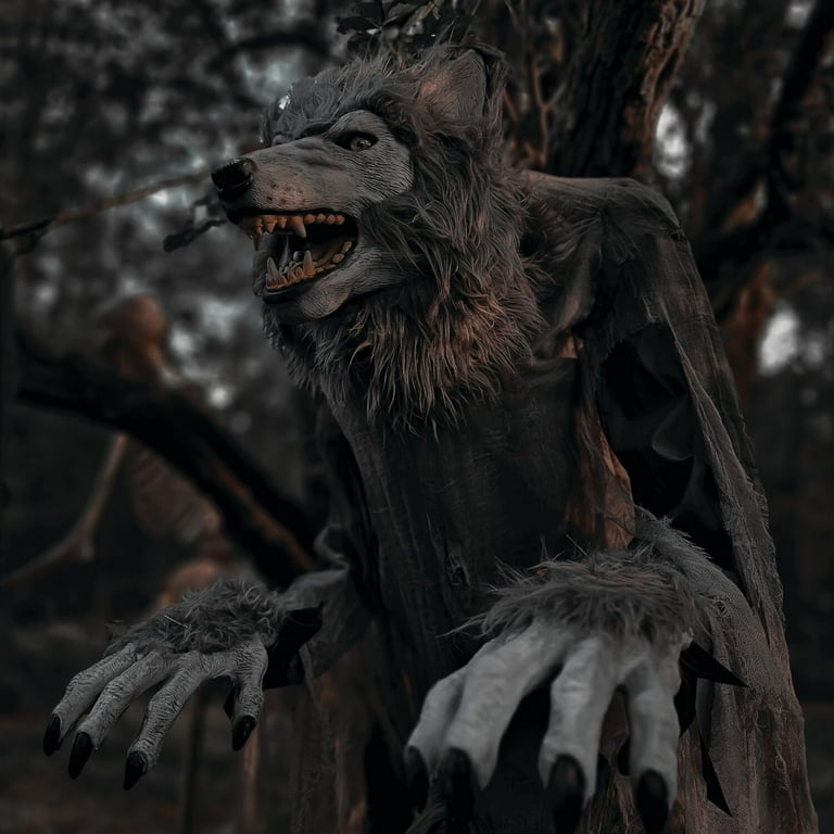 フラワー・ガーデニング Valiem MONSTER MOUTH WARP-S01 Valiem MONSTER MOUTH WARP-S01 フラワー・ガーデニング Valiem