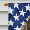 thumbnail image 3 of Brown Parti Patriotic House Flag, 3 of 4