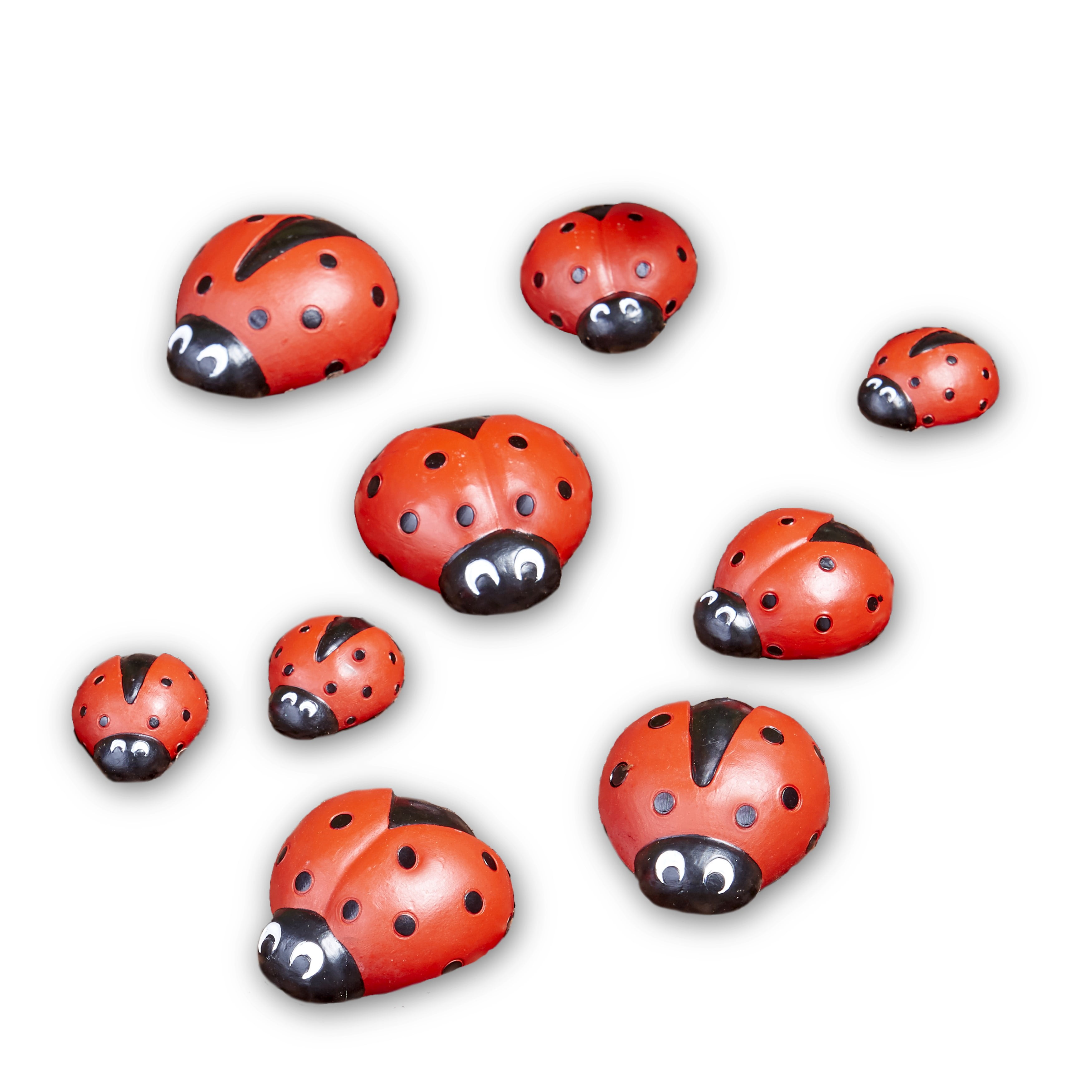 Teacher Created Resources Colorful Ladybugs Mini Accents 