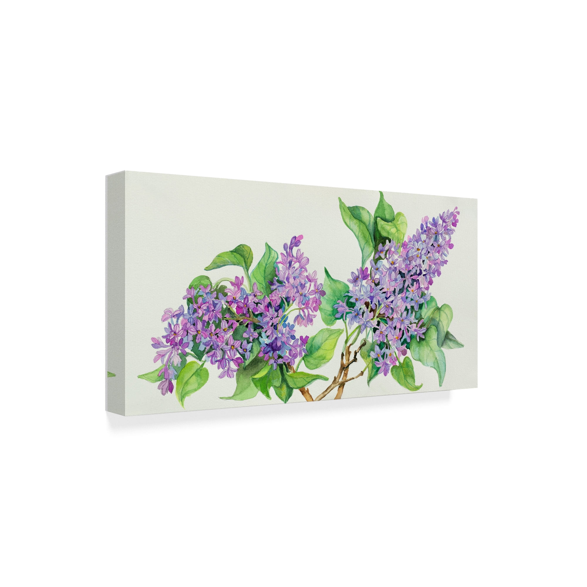 Trademark Fine Art 'Lilac Sprigs' Canvas Art by Joanne Porter