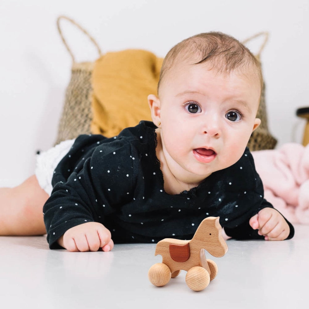 HRSR Wooden Baby Toys 1218 Months Baby Wooden Cars Toys Toddler Push