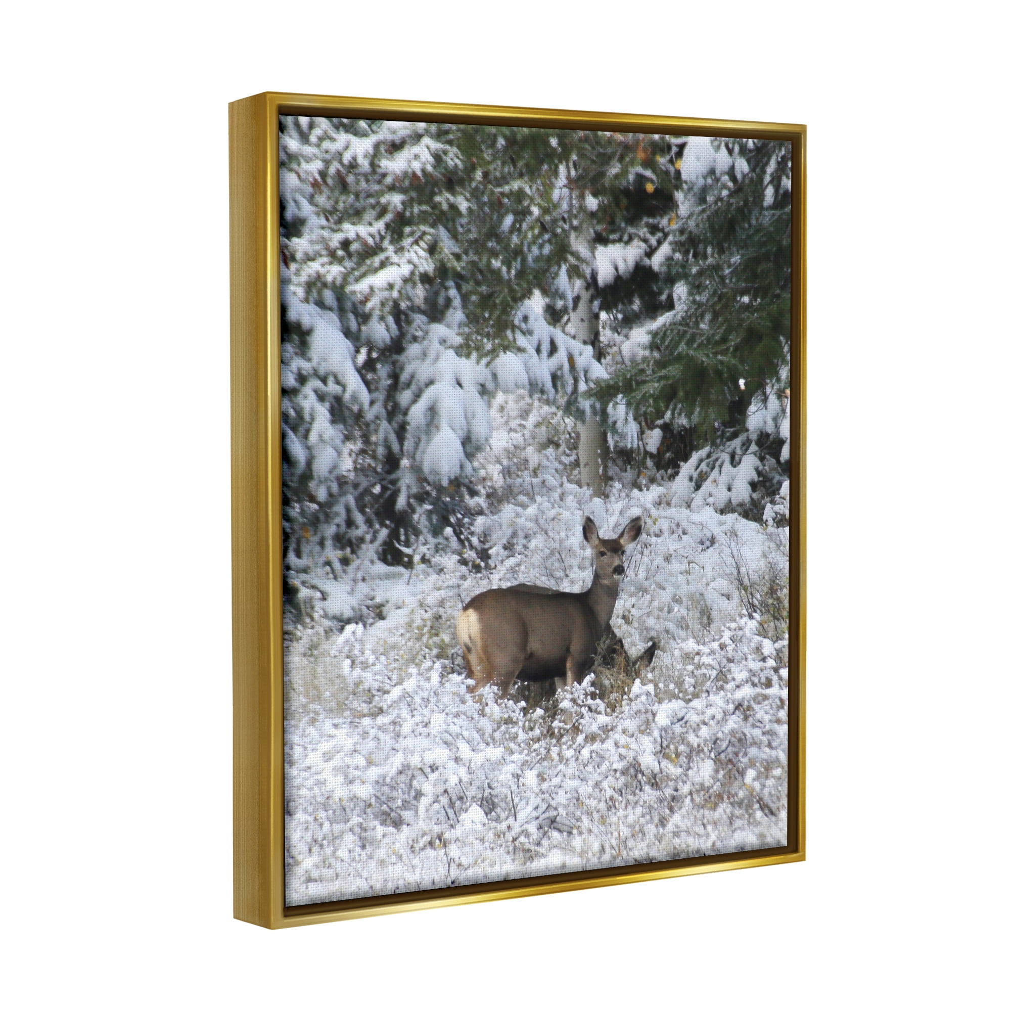 Stupell Industries Deer in Winter Trees Animals & Insects Photography Gold Floater Framed Art Print Wall Art, 17 x 21