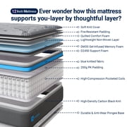 Avenco Queen Size Hybrid Mattress 12 inch Bed in a Box, Medium Firm