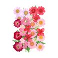 thumbnail image 1 of Dried Flowers Set Scrapbooking Decorating Real Flower Flowers Set Decal Handicraft Filling Pressed Specimen Label for Makeup Phone Use Type 13, 1 of 6