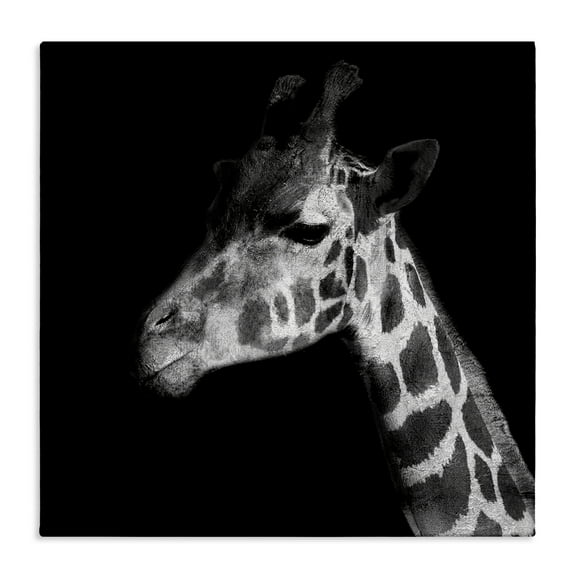 Stupell Industries Jungle Giraffe Portrait Animals Photography Wrapped Canvas Art Print Wall Art, 17 x 17
