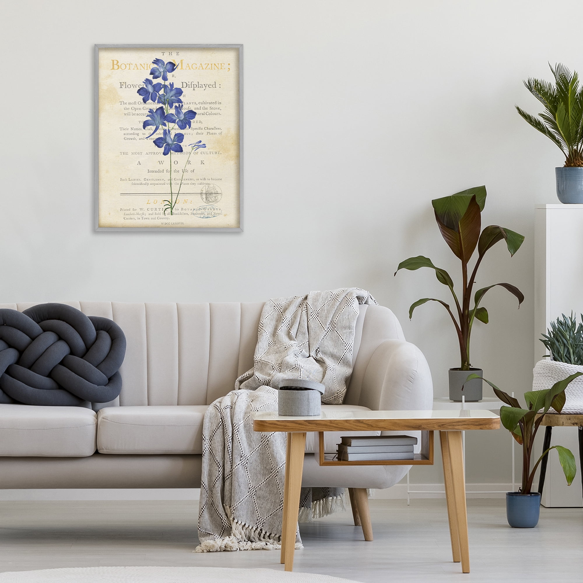 Stupell Industries Natural Botanic Garden Flower Gray Framed Giclee Art, design by Susan Arnot