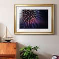 thumbnail image 6 of Sky Flower Premium Framed Print - Ready to Hang, 6 of 8