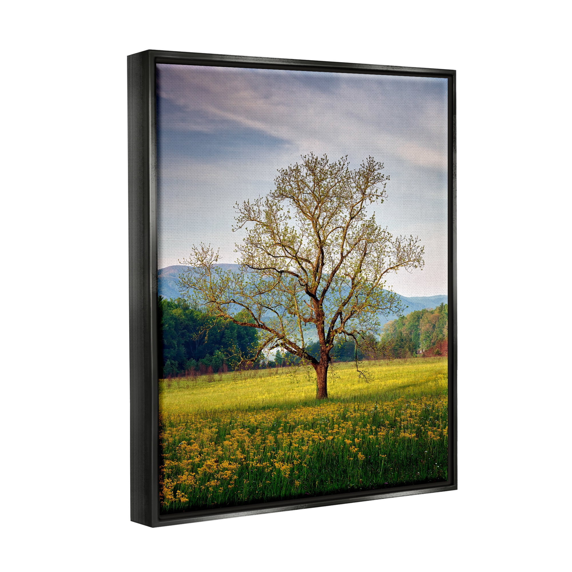 Stupell Lone Tree Wildflower Meadow Landscape Photography Black Floater Framed Art Print Wall Art