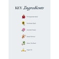 thumbnail image 2 of L'élixir pour les Cheveux, 30 ml, 2 of 7