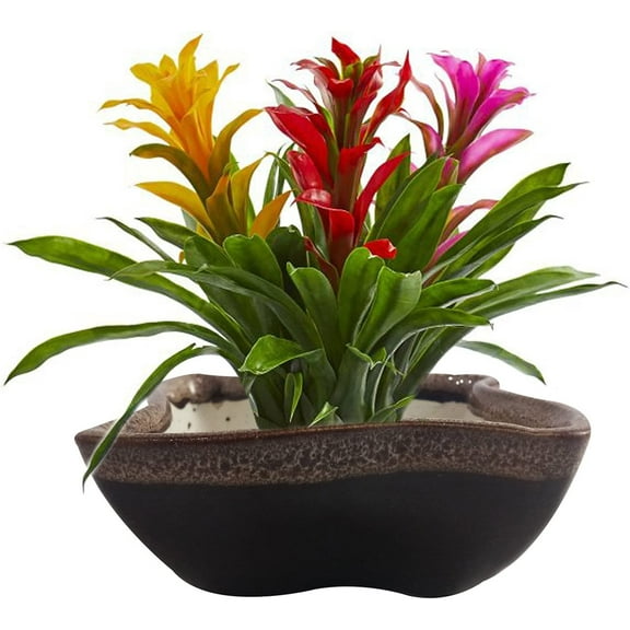 India Meets India Handicraft Ceramic Flower Pots Ceramic Planter Plant Pots Indoor Outdoor Planter, Best Gifting, Made by Awarded Indian Artisans