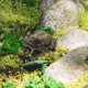 thumbnail image 1 of Nestingho Portallaves De Jardín Con De Rana Resistente E Impermeable Para Exteriores, 1 of 6