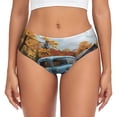 thumbnail image 1 of Fotbe Rustic Vintage Truck Autumn Calzones Estampados para Mujer – Ropa Interior de Algodón, Cómoda, Suave y Elástica-4X-Large, 1 of 6