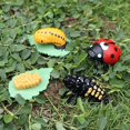 thumbnail image 5 of Figuras de ciclo de vida de mariposa, araña, abeja, libélula, figuras de insectos de plástico, proyecto escolar para Niños, 5 of 5
