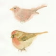 thumbnail image 2 of Novak, Shirley 12x12 Black Ornate Wood Framed with Double Matting Museum Art Print Titled - Watercolor Birds II Sq, 2 of 4