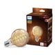 thumbnail image 1 of Bombilla LED PHILIPS 6.5G25, color ámbar vintage, 2000 K, 1 of 6