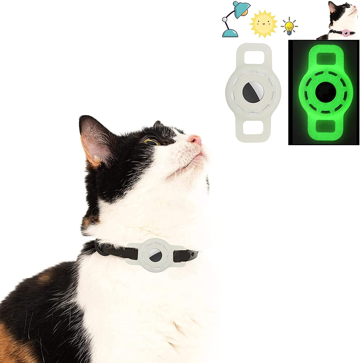 Cat collar best sale camera with gps