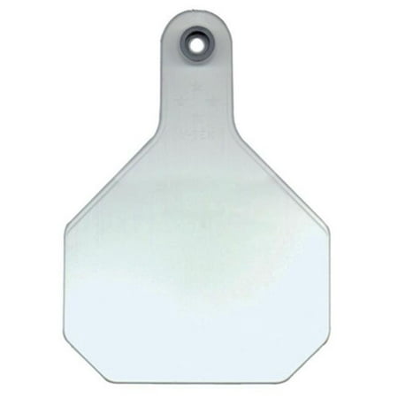 Y-Tex 7901000 Large White Blank Tag - 25 Pack