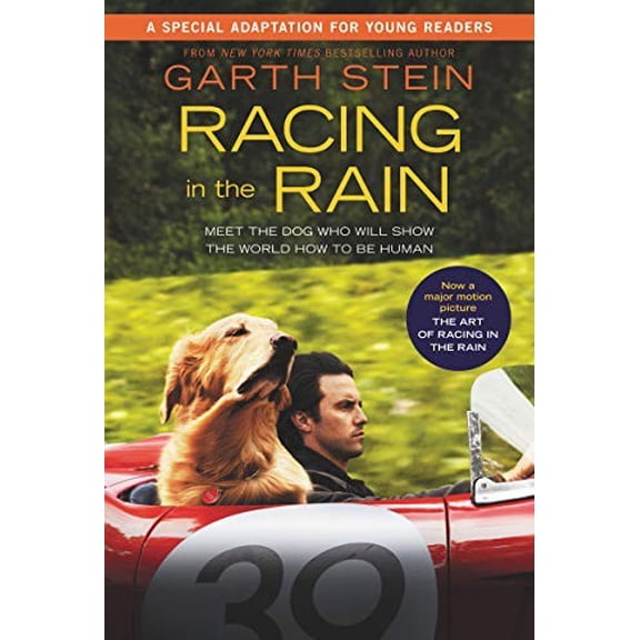 Pre-Owned Racing in the Rain (Paperback) 0062935070 9780062935076
