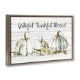 thumbnail image 3 of Stupell Industries Grateful Thankful Blessed Pumpkins Brown Framed Floater Canvas Wall Art, design by Carol Robinson, 21 x 31, 3 of 9