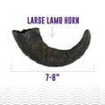 thumbnail image 2 of Icelandic+ Lamb Horn - Large - 7" Dog Chew, Long-Lasting Crunchy Treat, Medium & Large Dogs, Keratin, All-Natural, Pet Snack, Edible & Digestible, 2 of 8