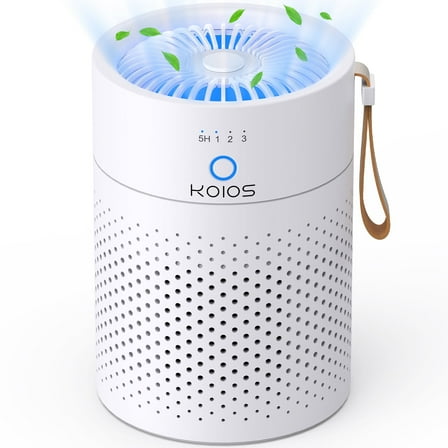 Air Purifiers for Bedroom Home, with HEPA Filter for Home, Small Portable Air Purifier with USB , Remove 99.9% Smoke Dust for 500 SQ.ft