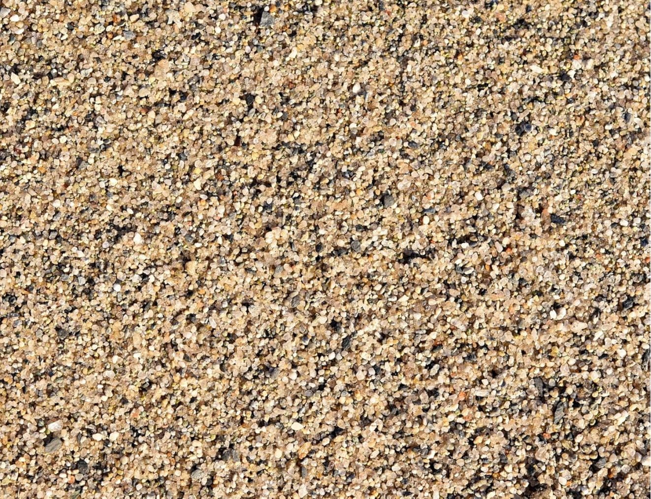 5 Pounds of Sand
