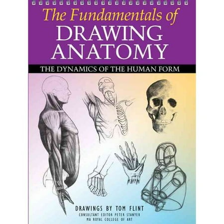 [PDF] The Fundamentals Of Drawing Anatomy The Dynamics Of The Human