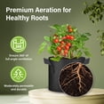 thumbnail image 4 of Macetas para cultivo de plantas HealSmart Tomoato de 3 galones, 10 unidades, 4 of 7