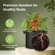 thumbnail image 4 of Macetas para cultivo de plantas HealSmart Tomoato de 3 galones, 10 unidades, 4 of 7
