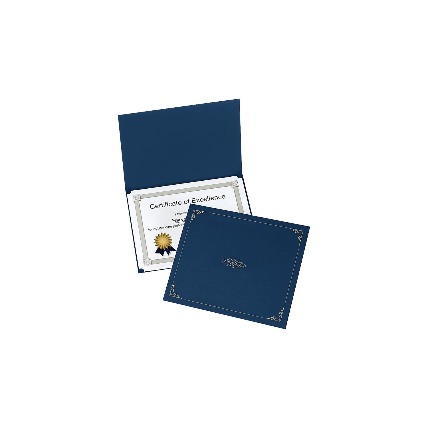 Metallic Documentation Certificate Holder 9 1/2x12 Stardream Gold -  CH91212-M07